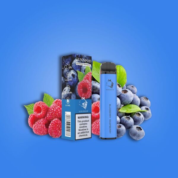 Blueberry Raspberry